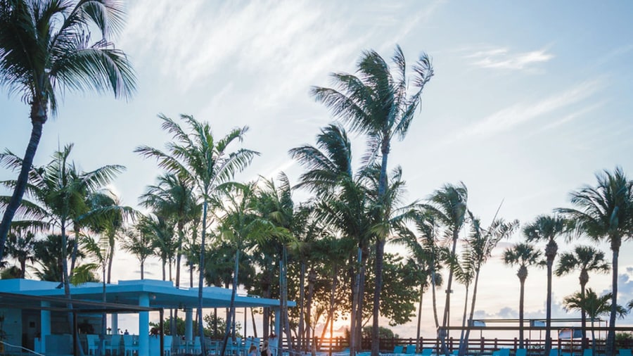 Hotel Riu Plaza Miami Beach