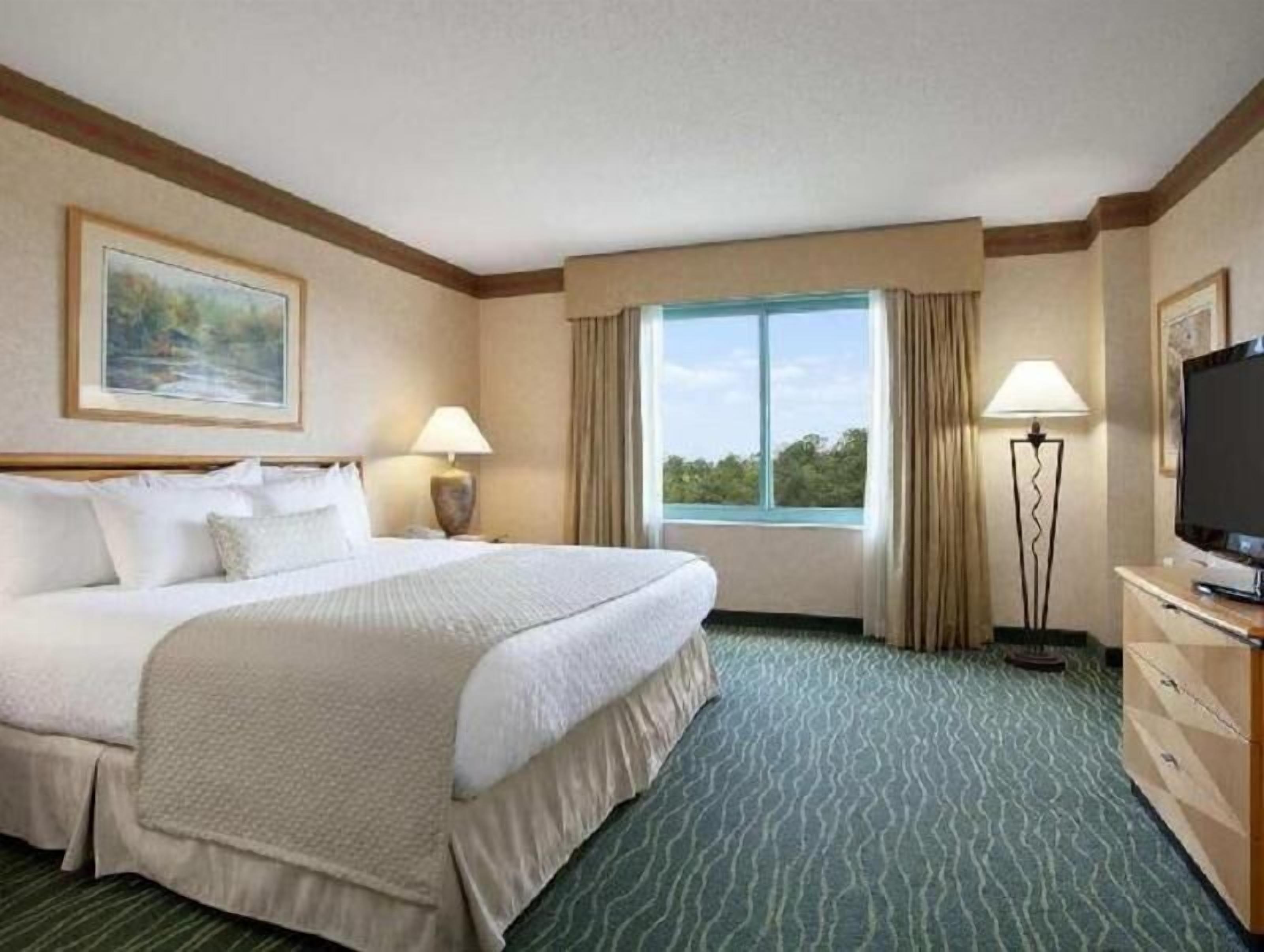 Premium bedding, in-room safe, desk, blackout curtains