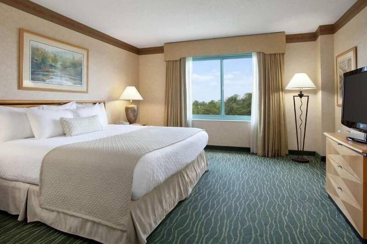 Premium bedding, in-room safe, desk, blackout curtains