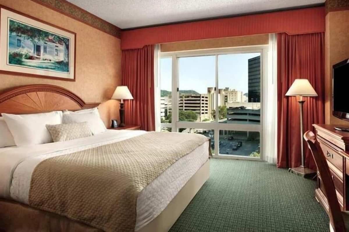 A hotel room with a large bed, two bedside tables, a TV, a lamp, and a window with a city view.