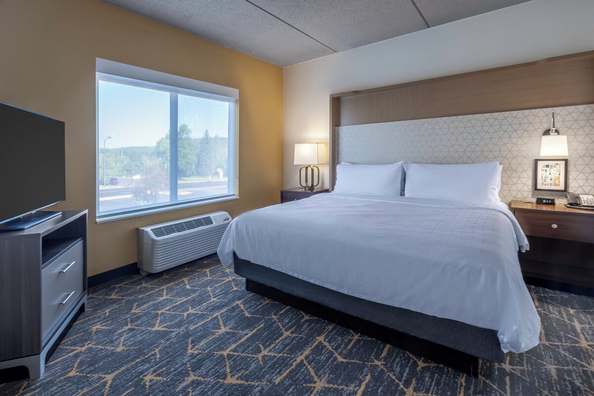 A hotel room with a large bed, a television, a heater, and a window with a view of trees and a road.