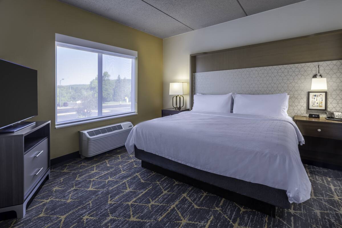 A hotel room with a large bed, a television, a heater, and a window with a view of trees and a road.