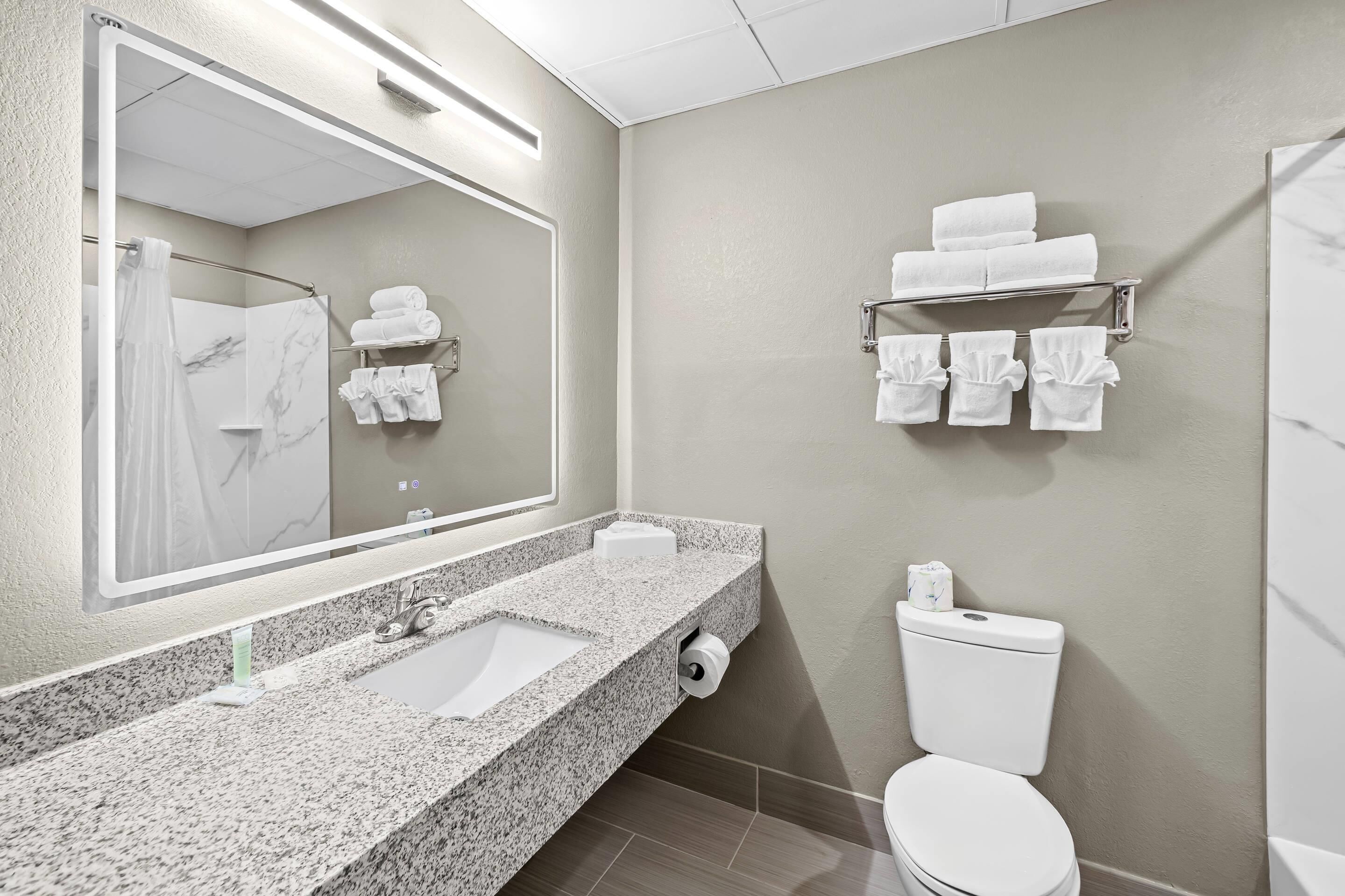 A bathroom with a granite sink, a toilet, a towel rack, and a mirror.