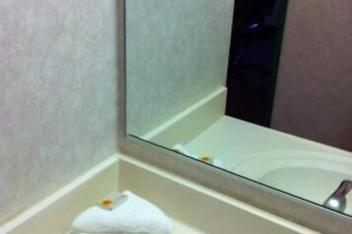 combined shower/bathtub, free toiletries, hair dryer, towels