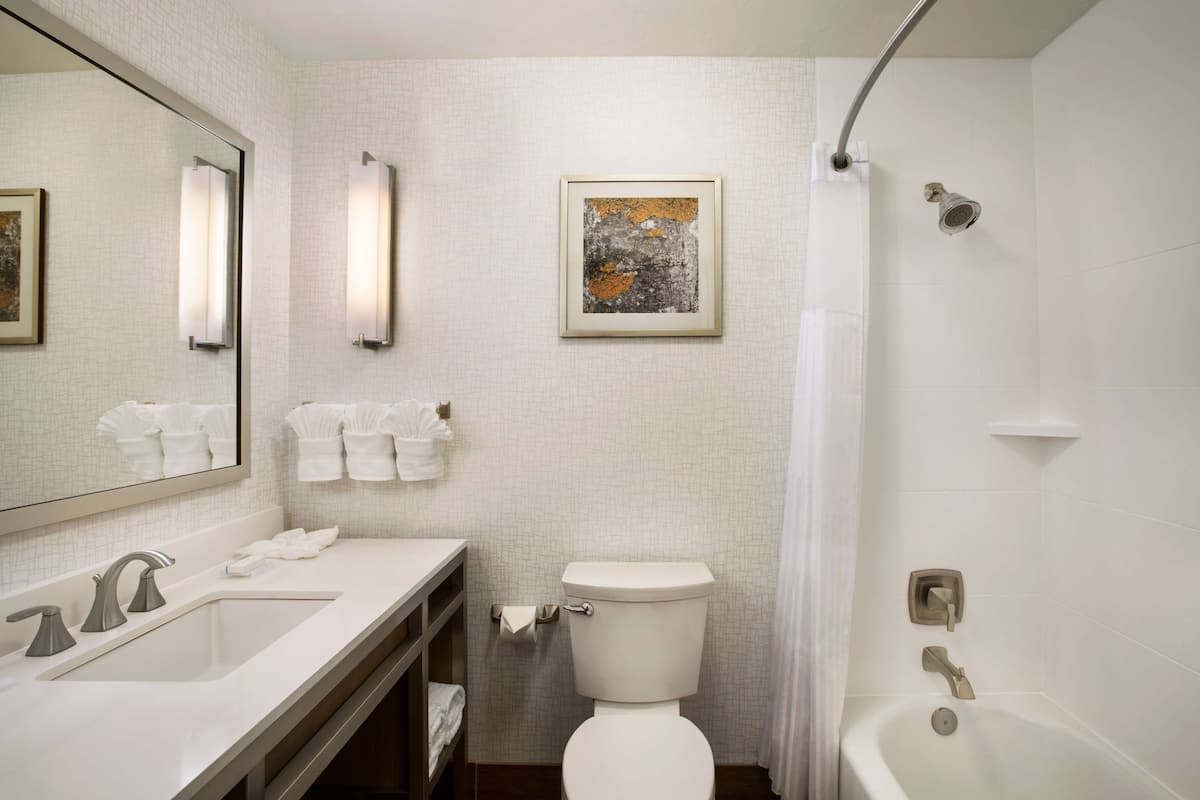 free toiletries, hair dryer, towels