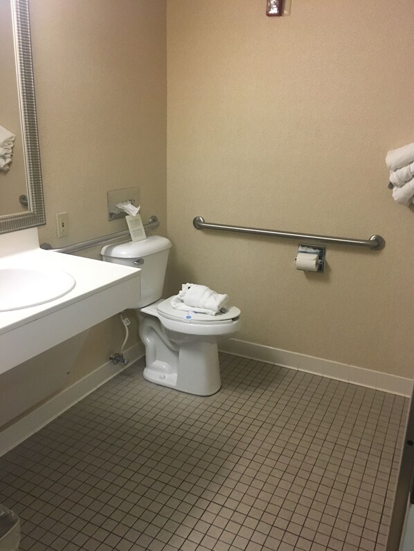 A bathroom with a white toilet, a sink, a mirror, a handrail, and a toilet paper holder.