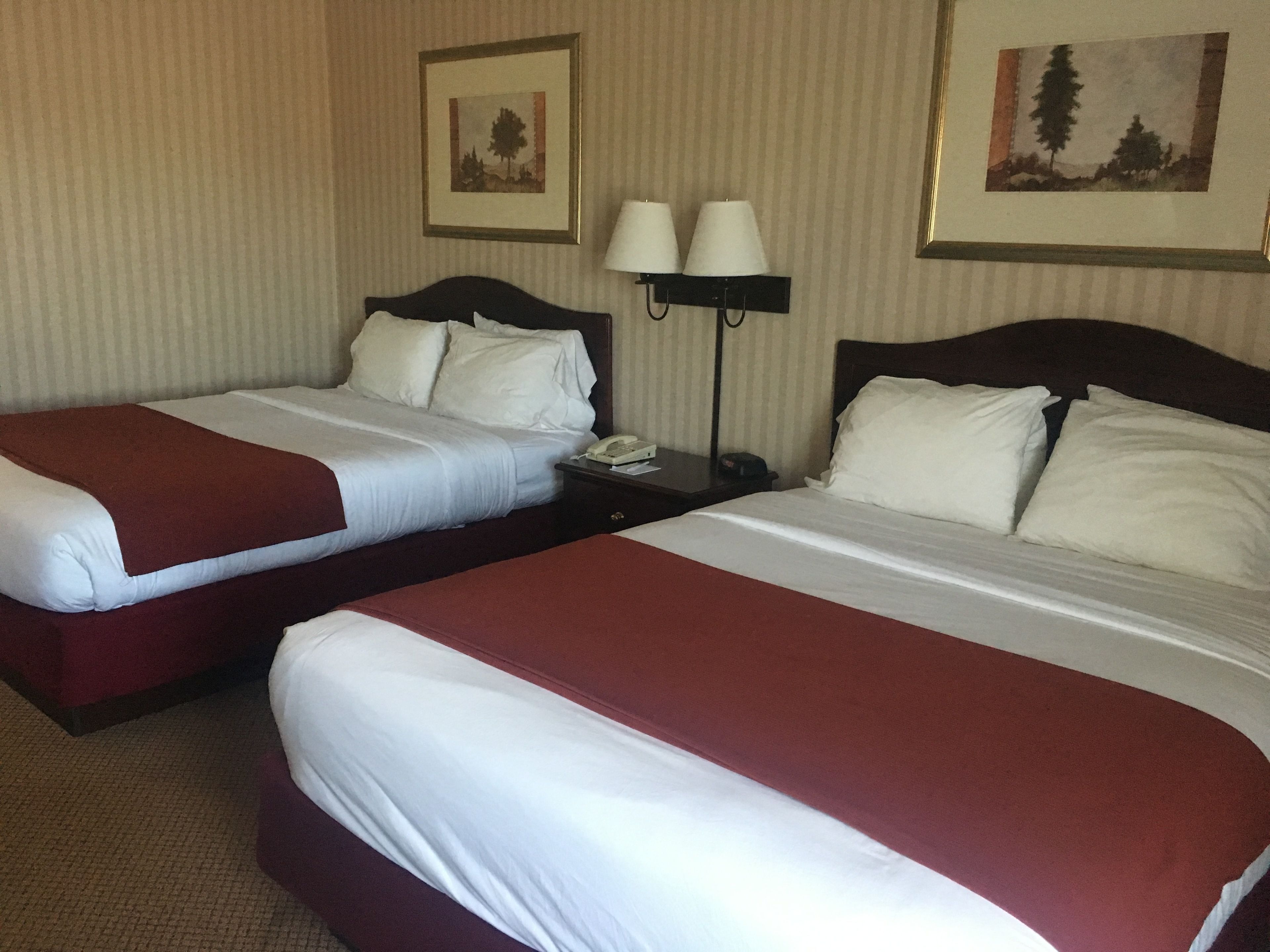 Due letti da hotel affiancati con lenzuola bianche, un comodino con una lampada e due quadri appesi al muro.