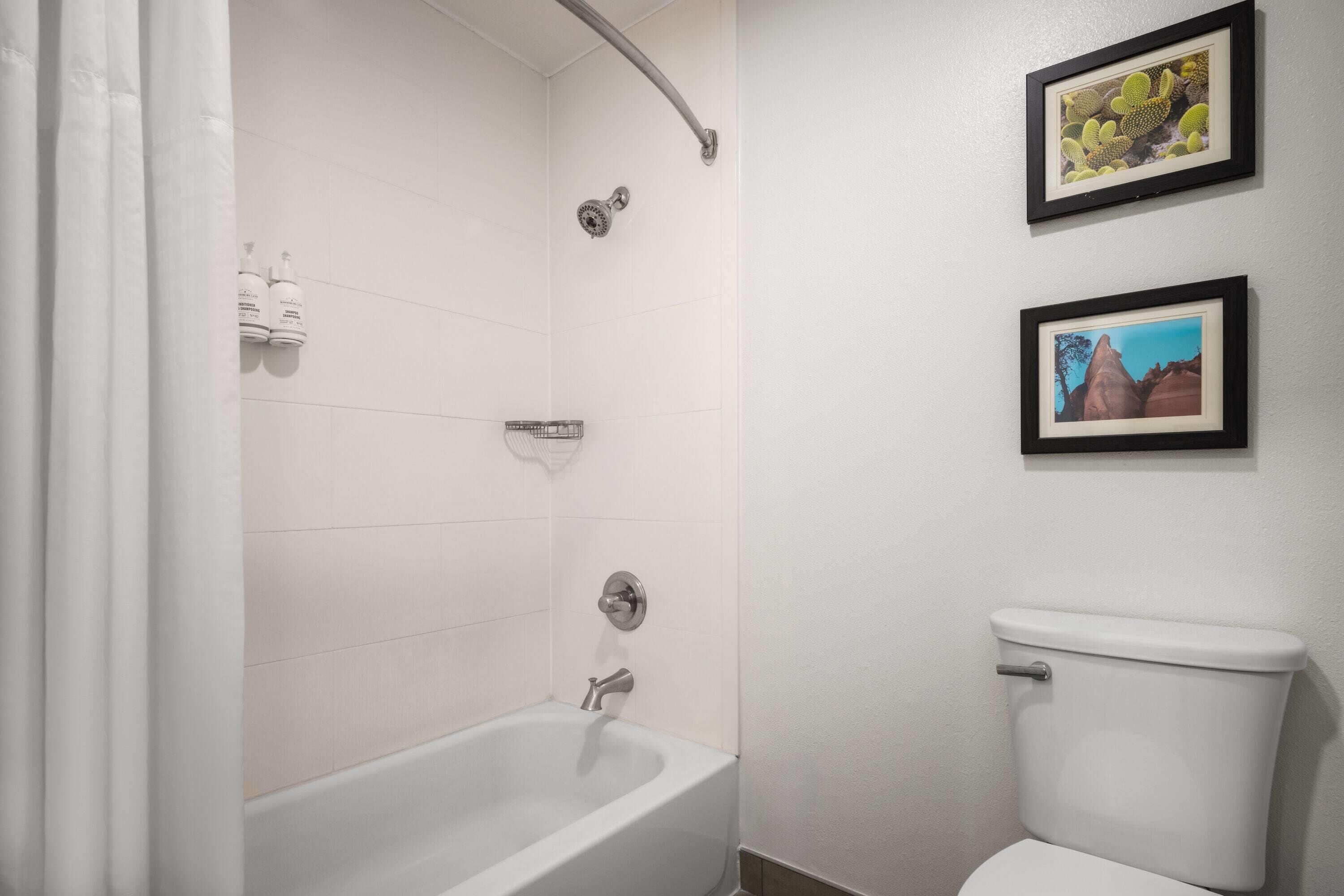 Un baño con bañera, ducha, inodoro y dos cuadros enmarcados en la pared.