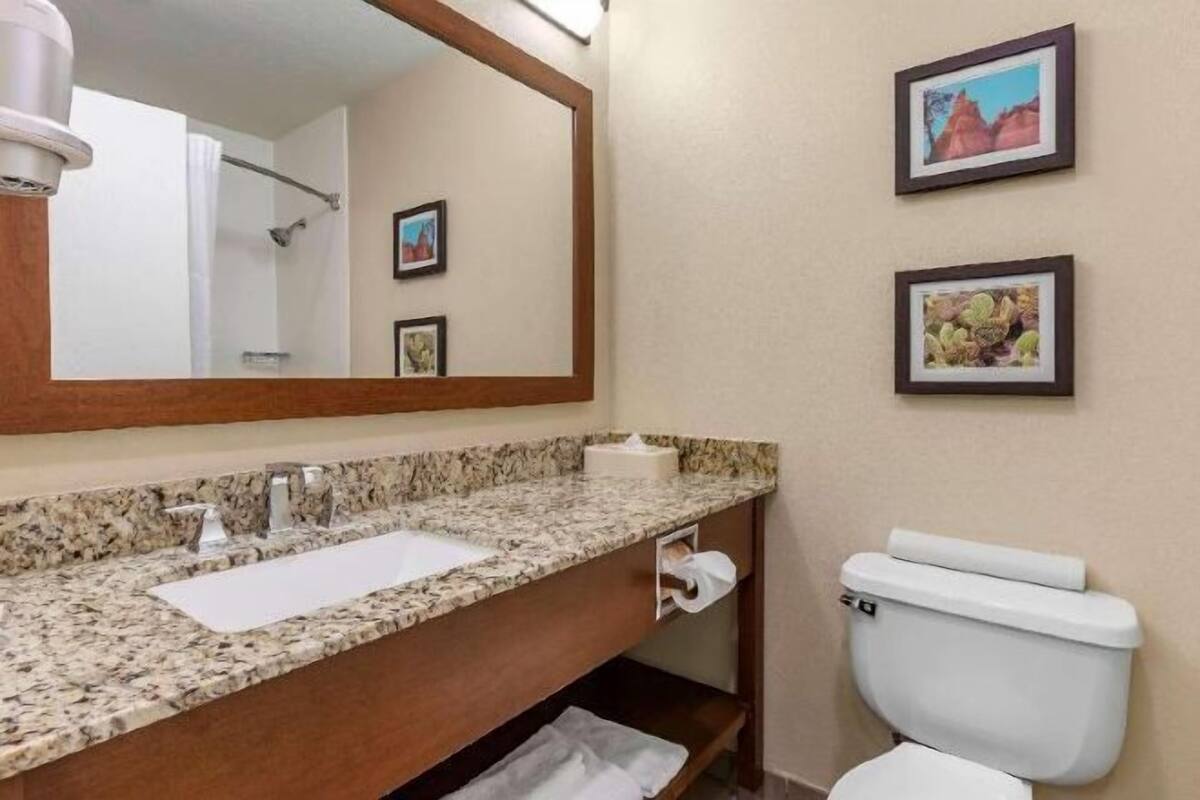 Bathroom | Combined shower/tub, free toiletries, hair dryer, towels