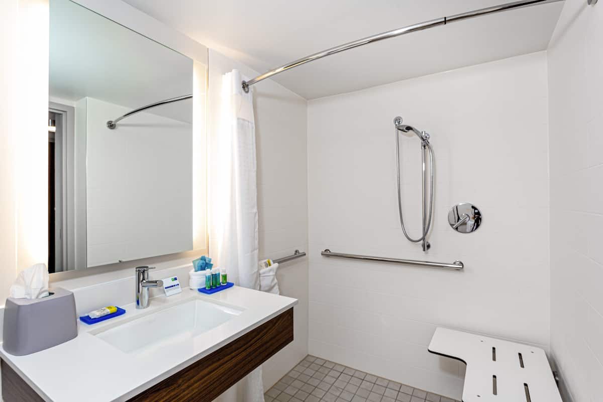 standard room, 1 king bed, accessible | bathroom | combined shower/bathtub, eco-friendly toiletries, hair dryer, towels