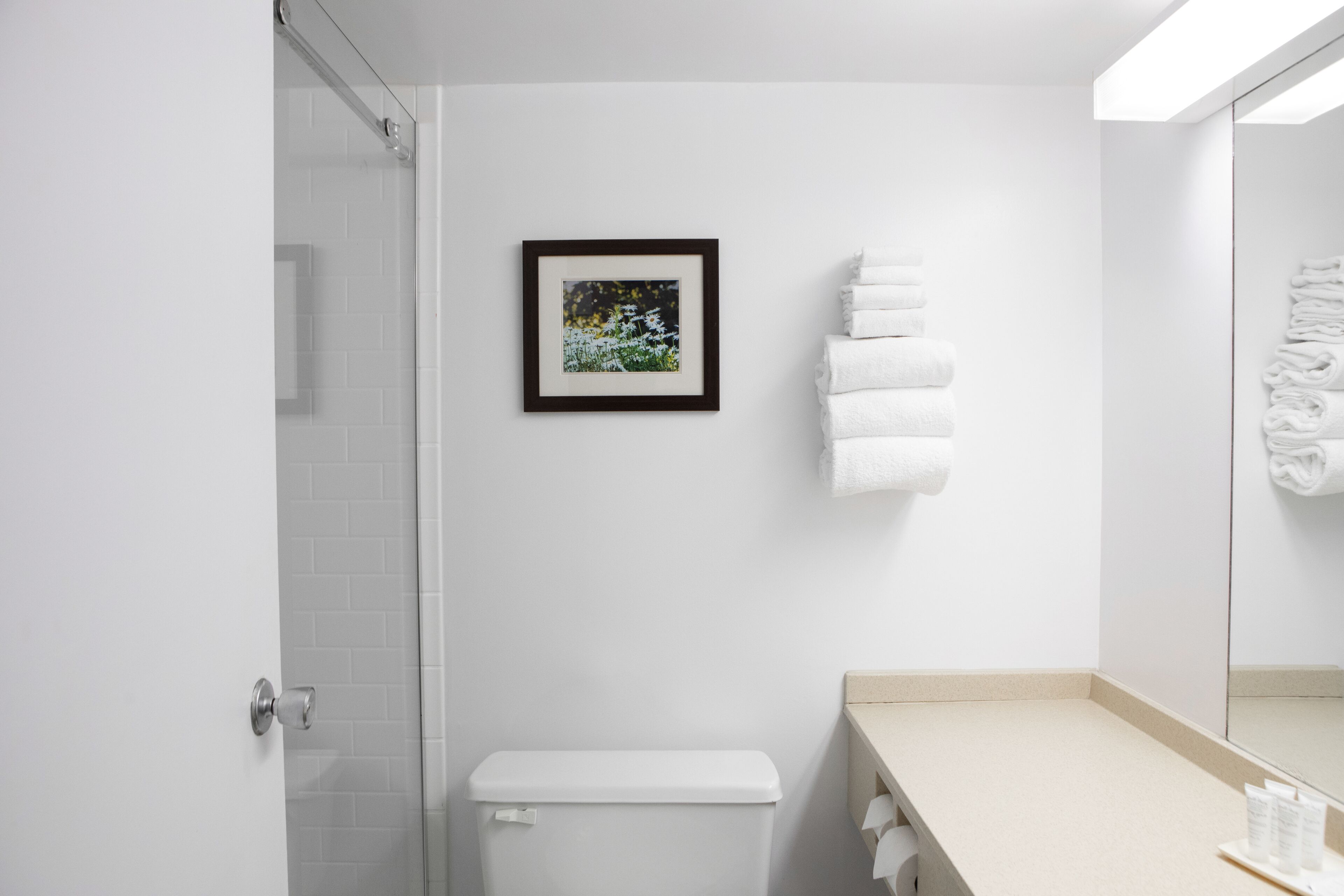 A bathroom with a toilet, a framed picture on the wall, and neatly stacked towels.