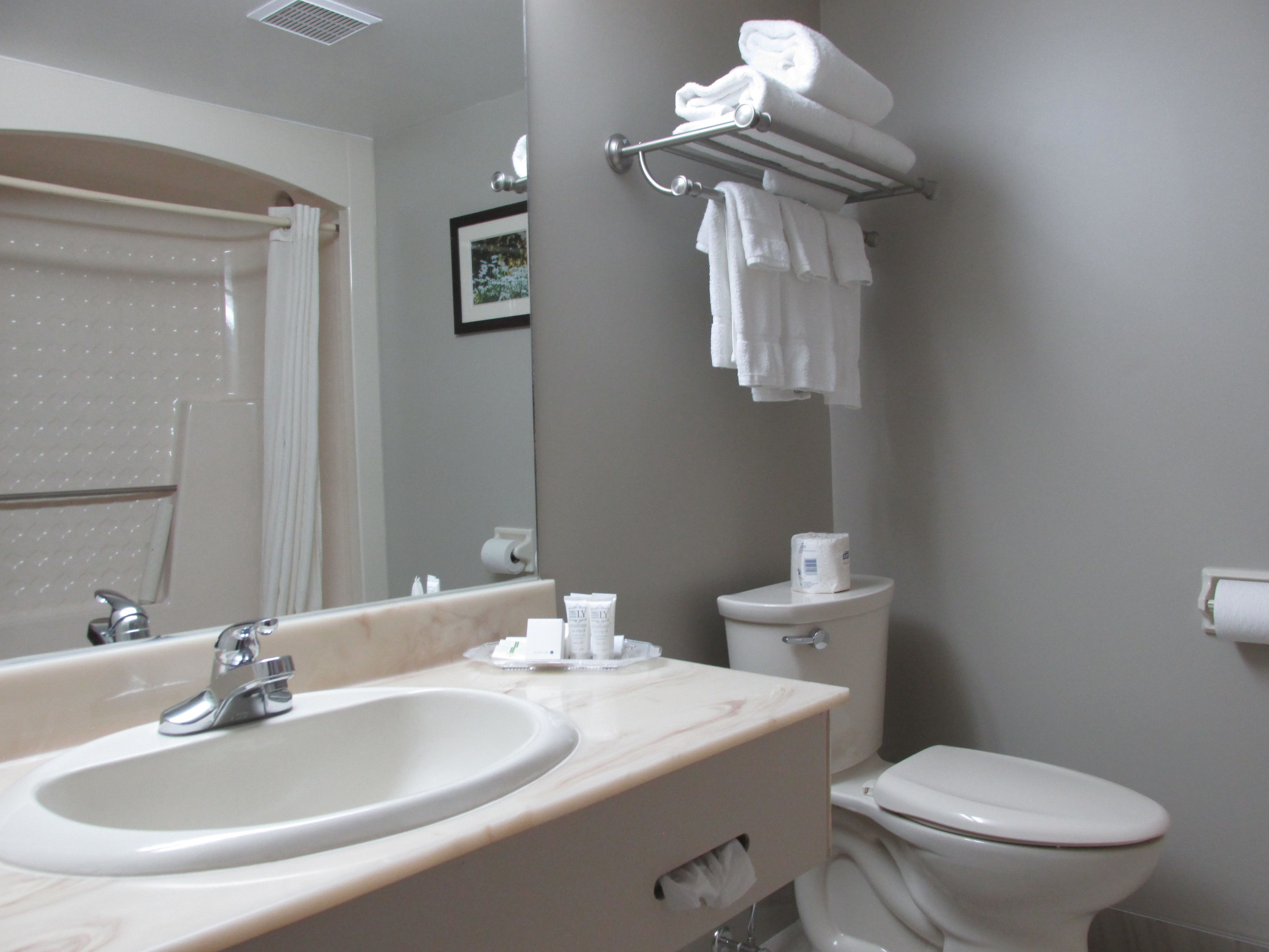 deluxe room, 2 queen beds | bathroom | combined shower/bathtub, designer toiletries, hair dryer, towels