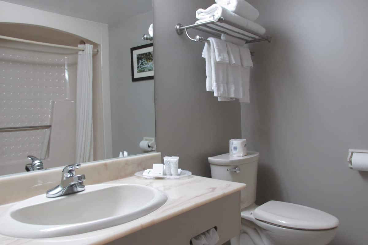 deluxe room, 2 queen beds | bathroom | combined shower/bathtub, designer toiletries, hair dryer, towels