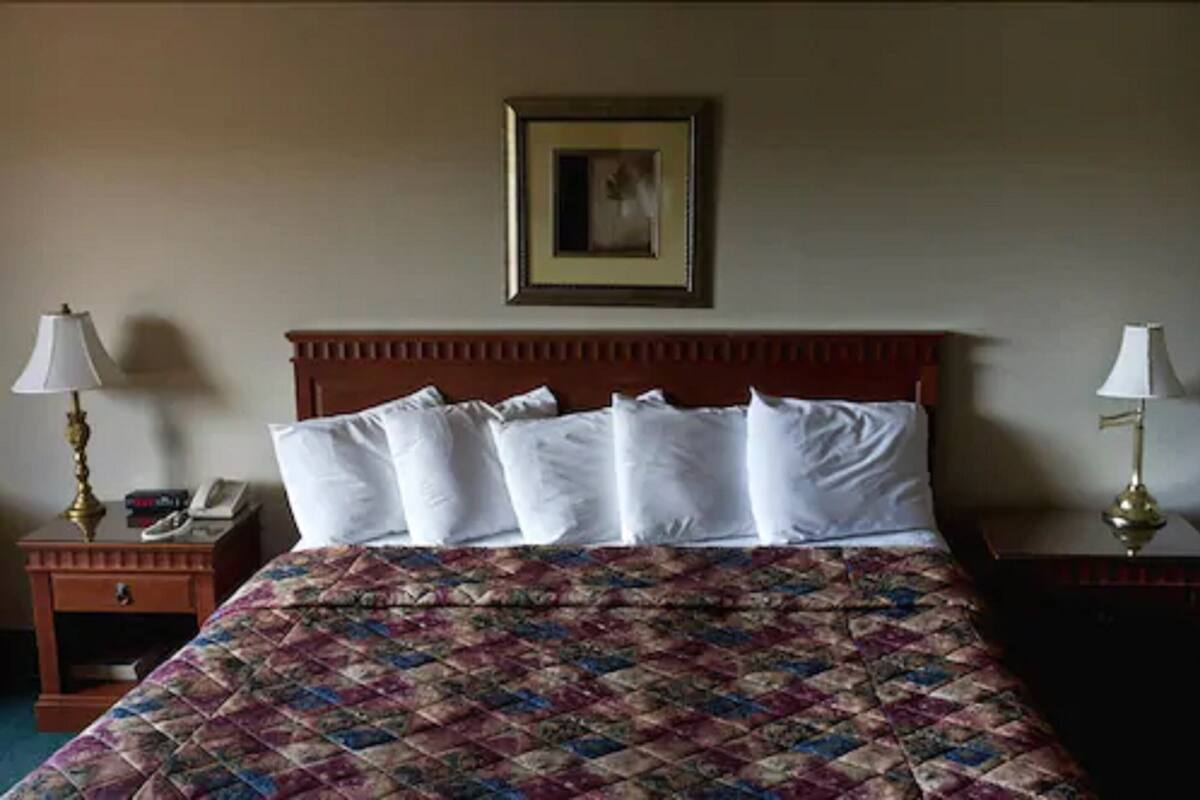 A hotel room with a bed, a nightstand with a lamp, and a framed picture on the wall.