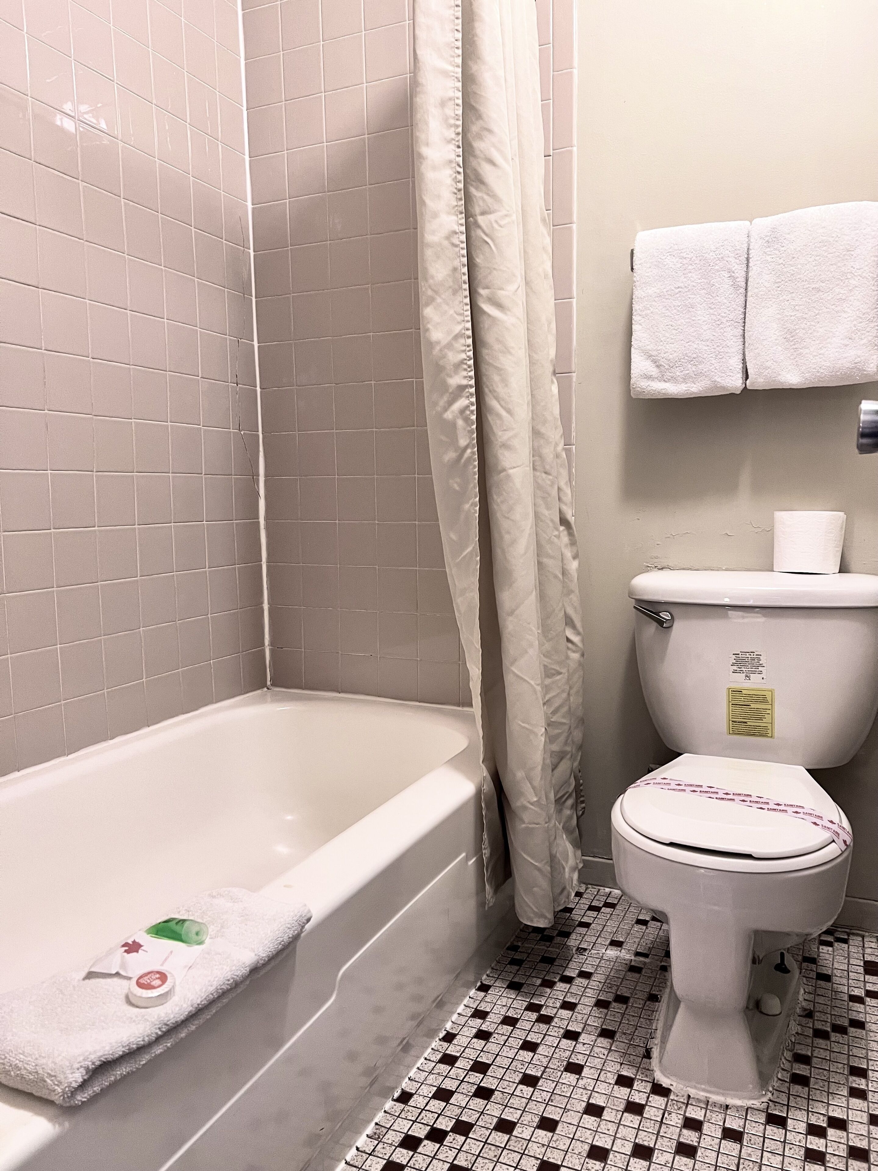 A bathroom with a bathtub, toilet, and a shower curtain.