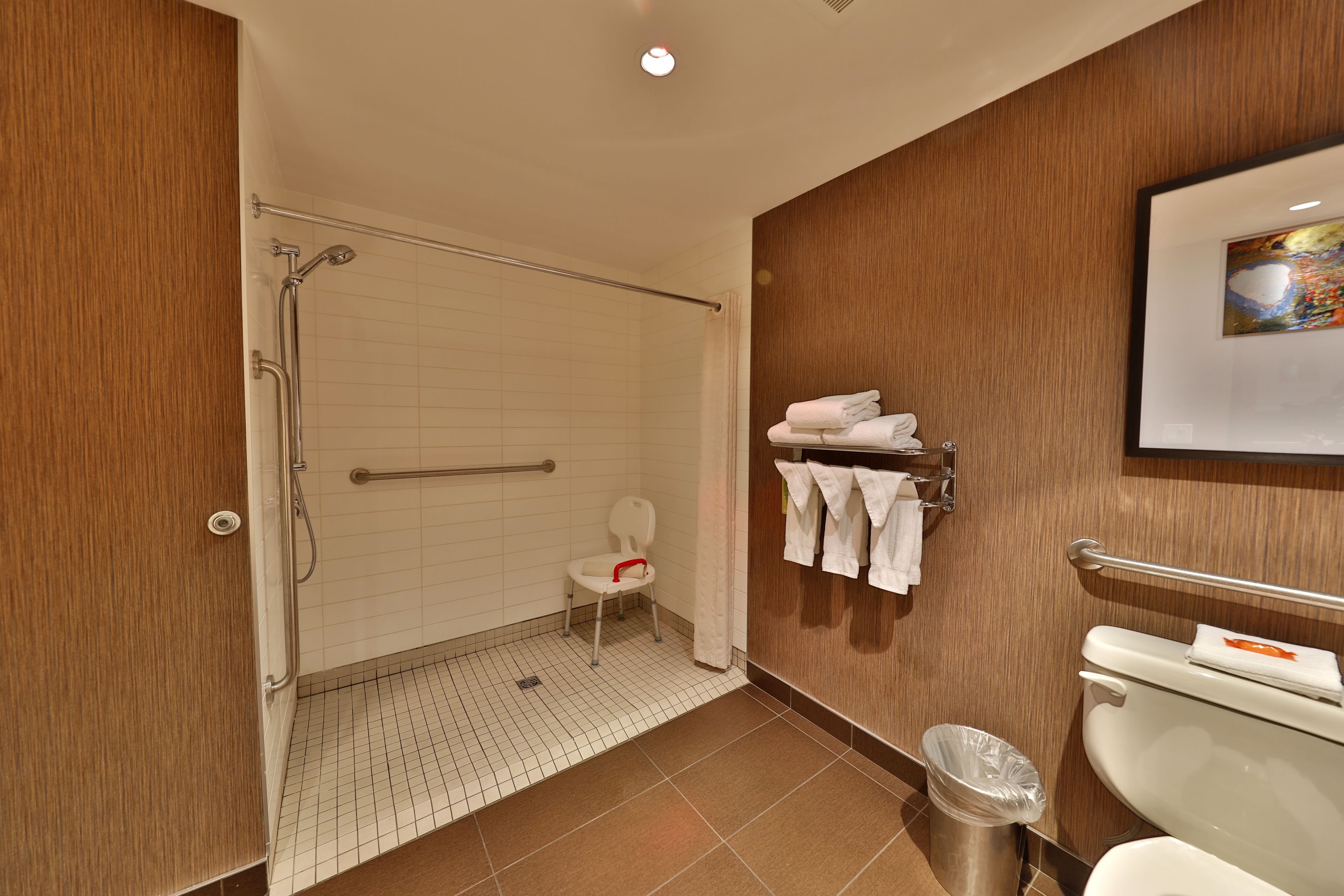 Baño con ducha, inodoro y una silla accesible para personas en silla de ruedas.