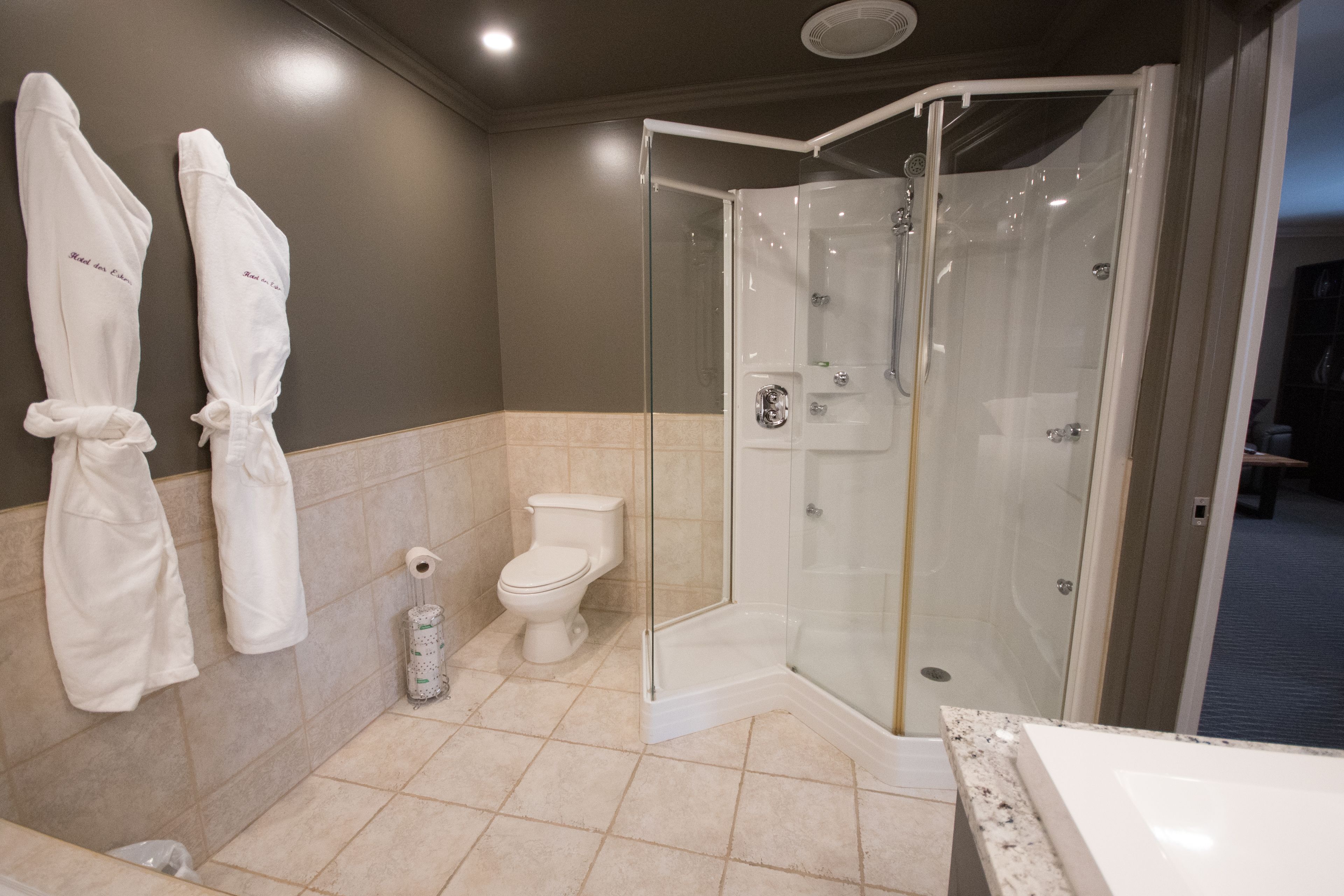 A modern bathroom with a glass-enclosed shower, a toilet, and two towels hanging on the wall.