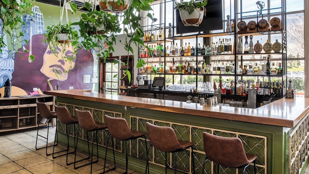 Um bar com plantas penduradas, um mural e prateleiras cheias de garrafas.