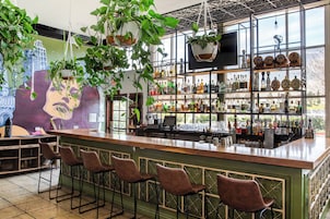 Bar (en el alojamiento)