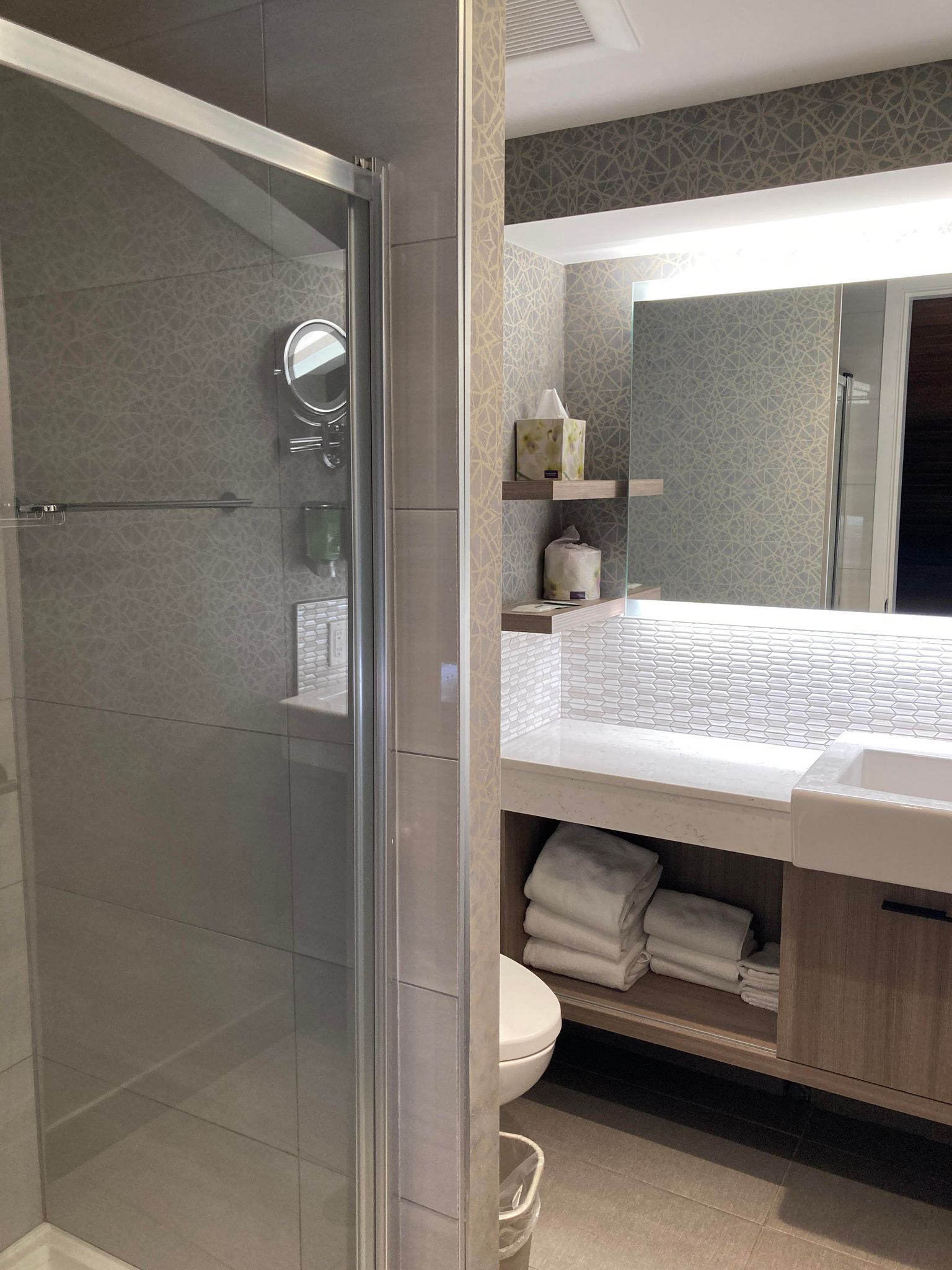 A modern bathroom with a glass-enclosed shower, a vanity with a mirror, and a toilet.