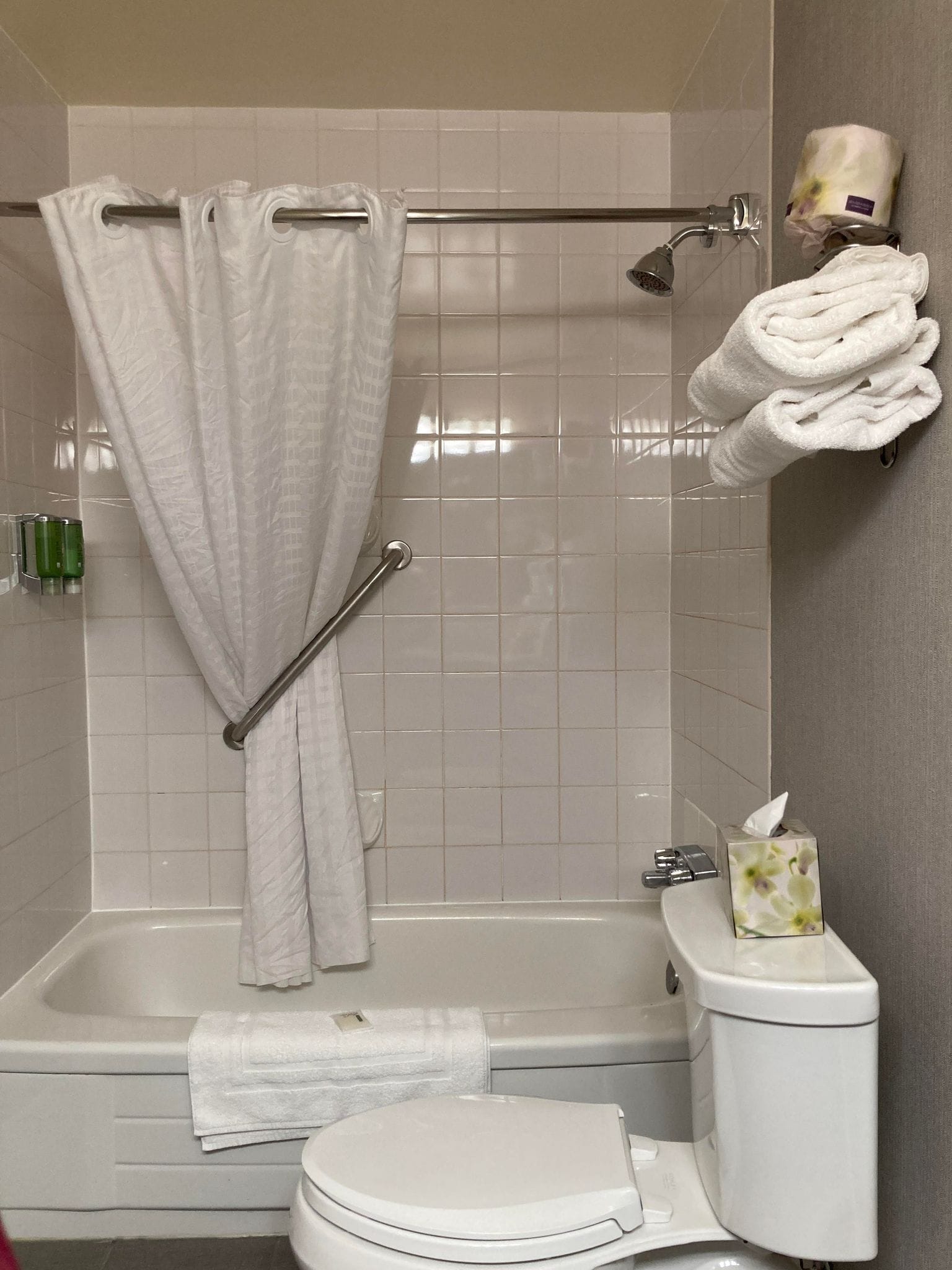 A bathroom with a bathtub, toilet, and a shower curtain.