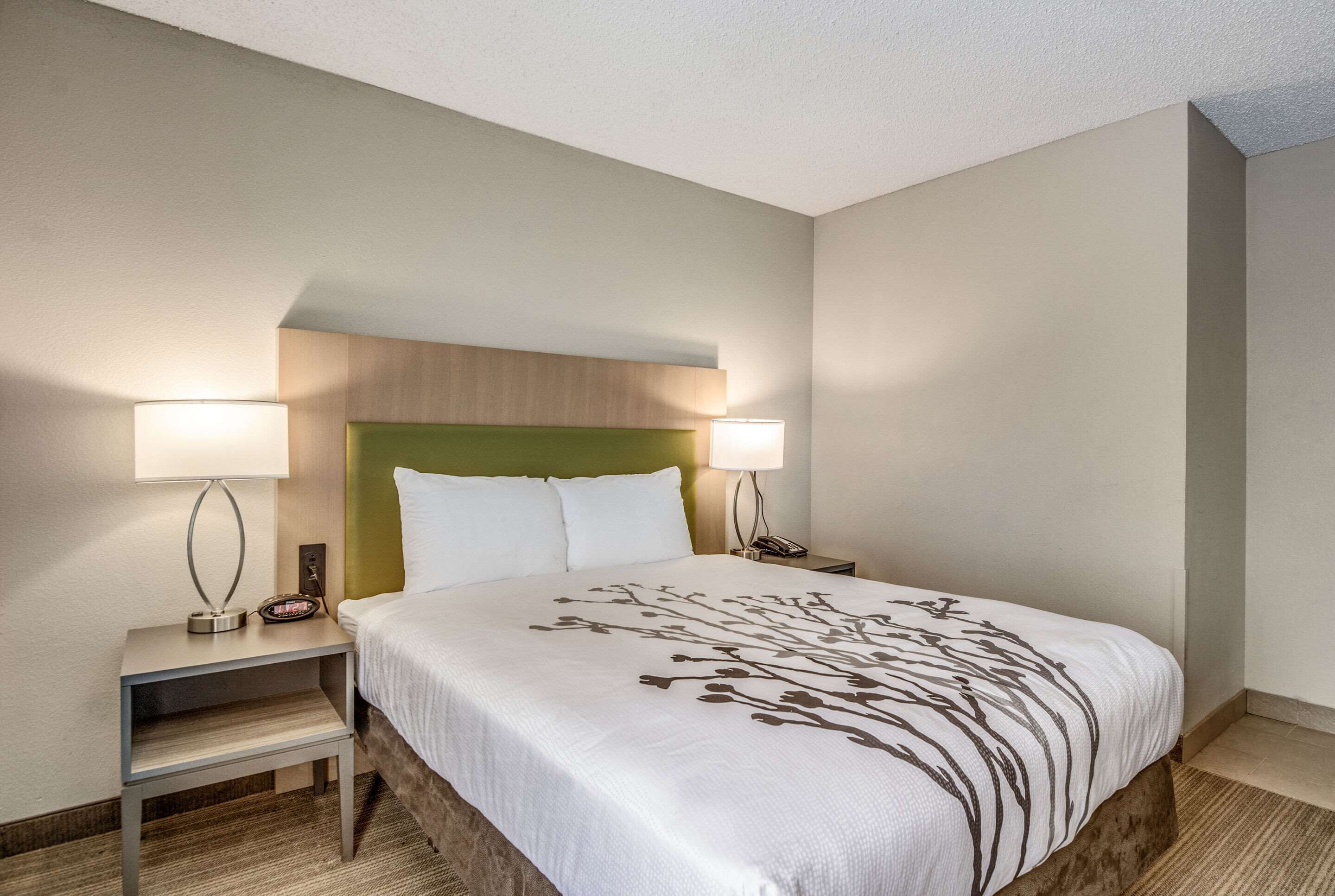 Une chambre d’hôtel avec un lit, deux tables de chevet, des lampes, une tête de lit verte et un couvre-lit blanc orné de motifs représentant des branches.