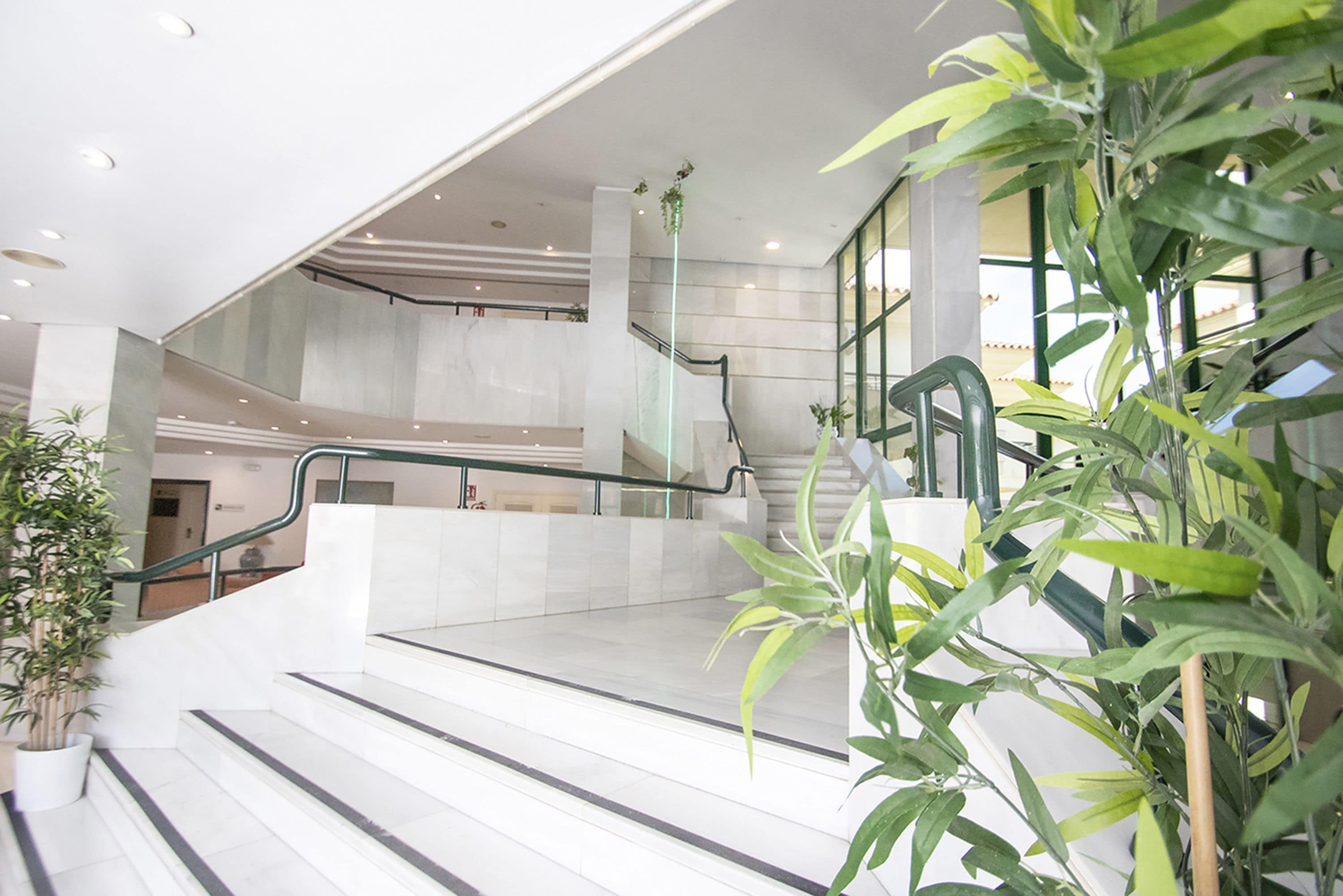 A modern indoor staircase with glass railings and potted plants.