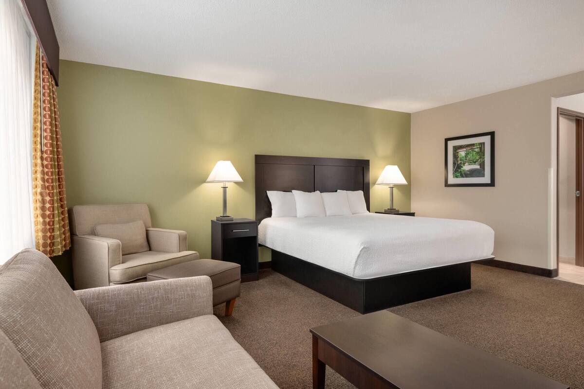 Una habitación de hotel con cama, sofá, mesita de noche, lámpara y un cuadro en la pared.