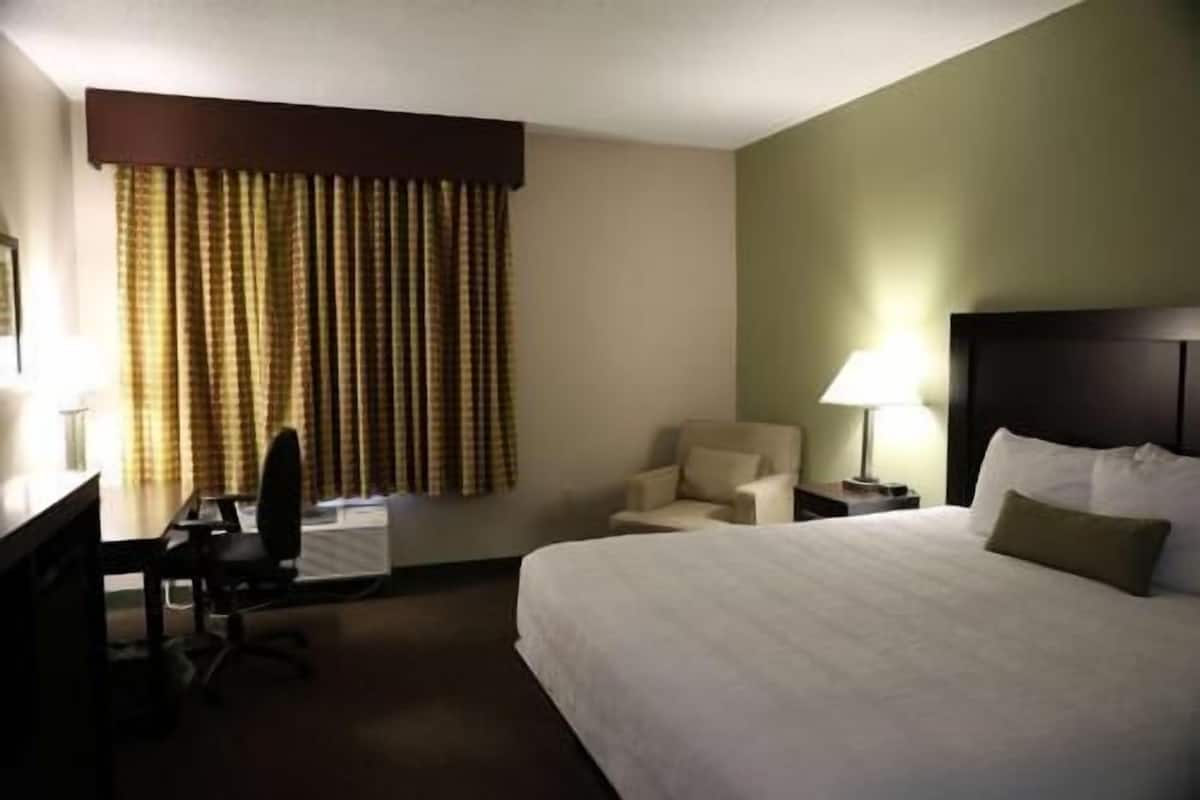Ropa de cama de alta calidad, camas con pillow-top y escritorio