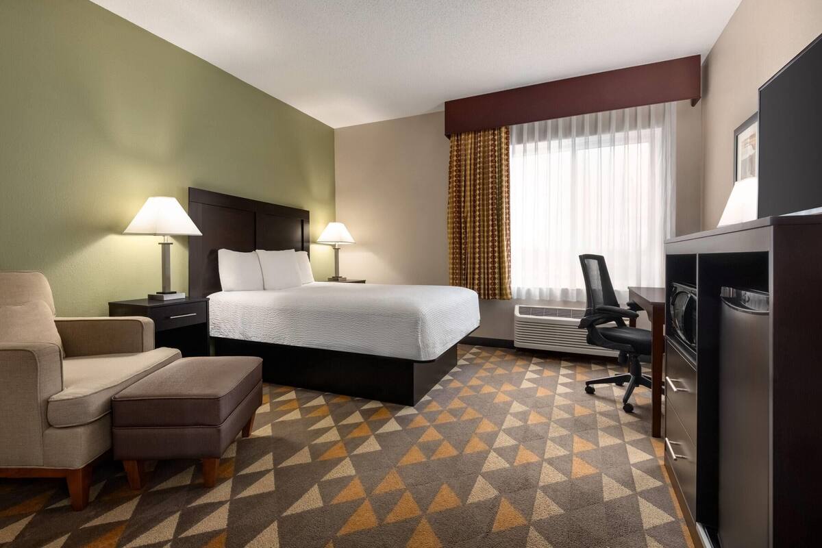 Una habitación de hotel con una cama, un escritorio, una silla, un televisor y una alfombra estampada.