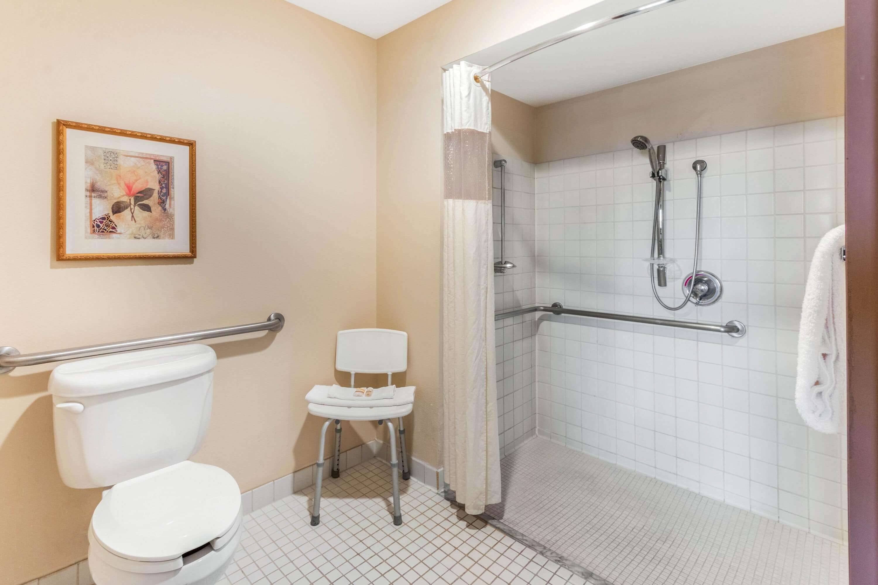 combined shower/bathtub, free toiletries, hair dryer, towels