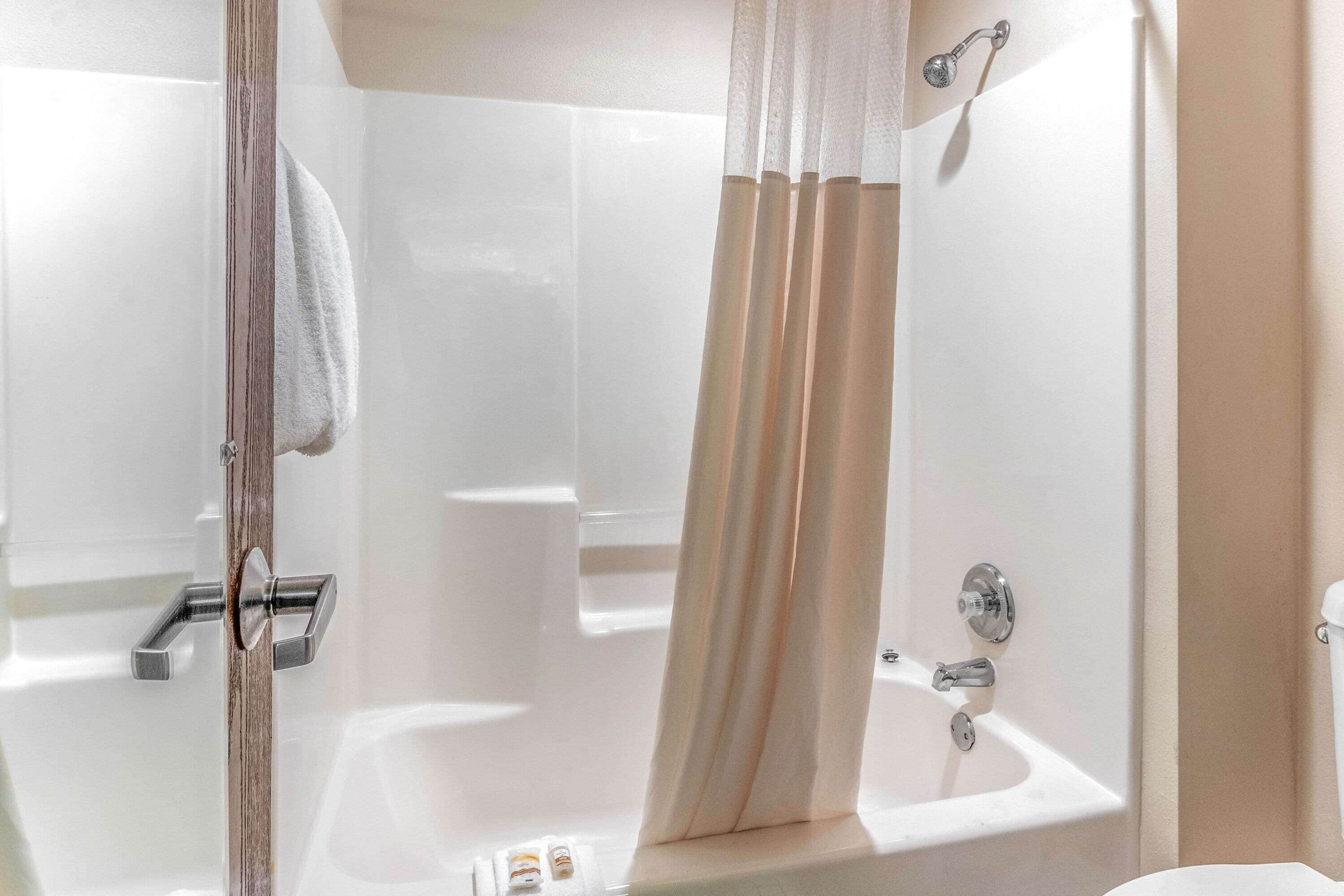 combined shower/bathtub, free toiletries, hair dryer, towels