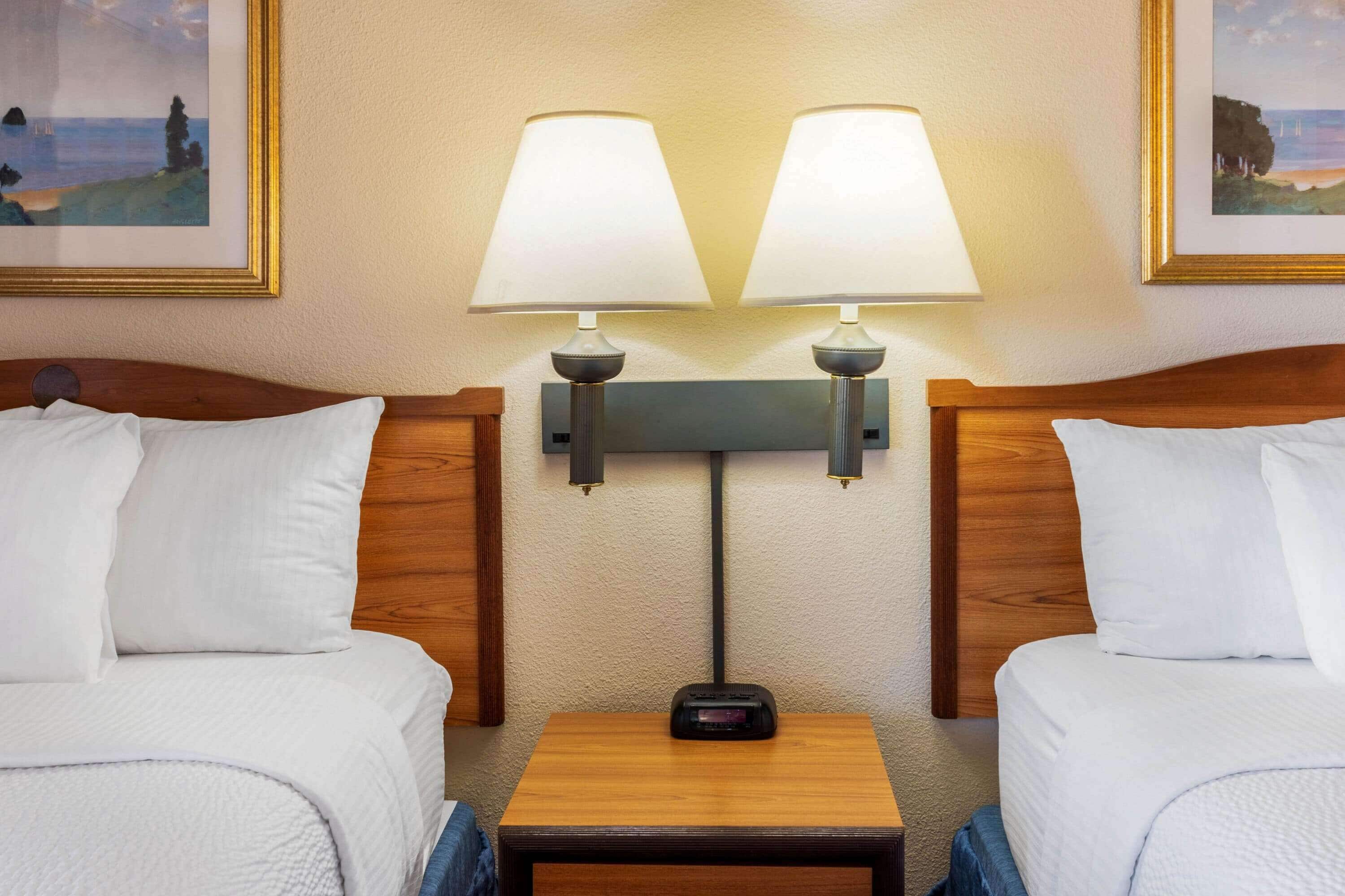 premium bedding, desk, iron/ironing board, free cots/infant beds