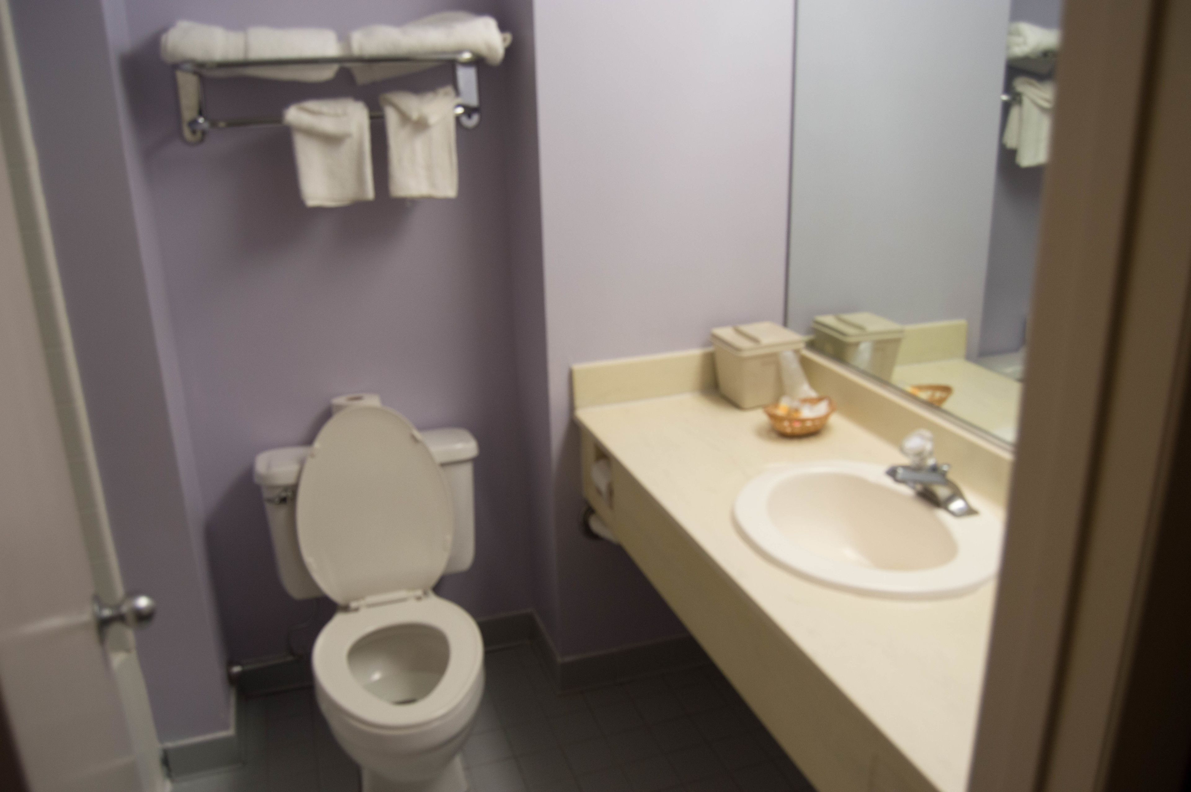 Un bagno con il water, lavabo e porta asciugamani.
