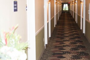 Hallway - Aderi Hotel Niantic (Niantic)