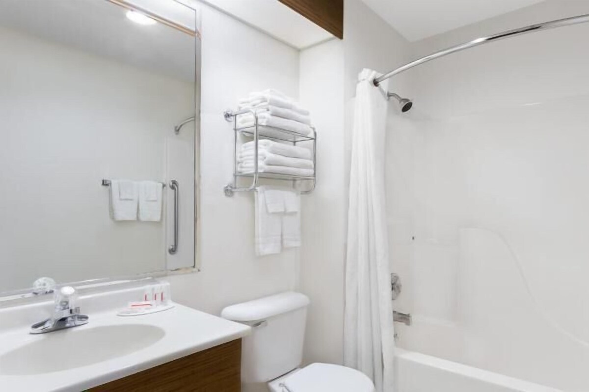 Une salle de bain moderne équipée d’une douche, de toilettes et d’un lavabo.