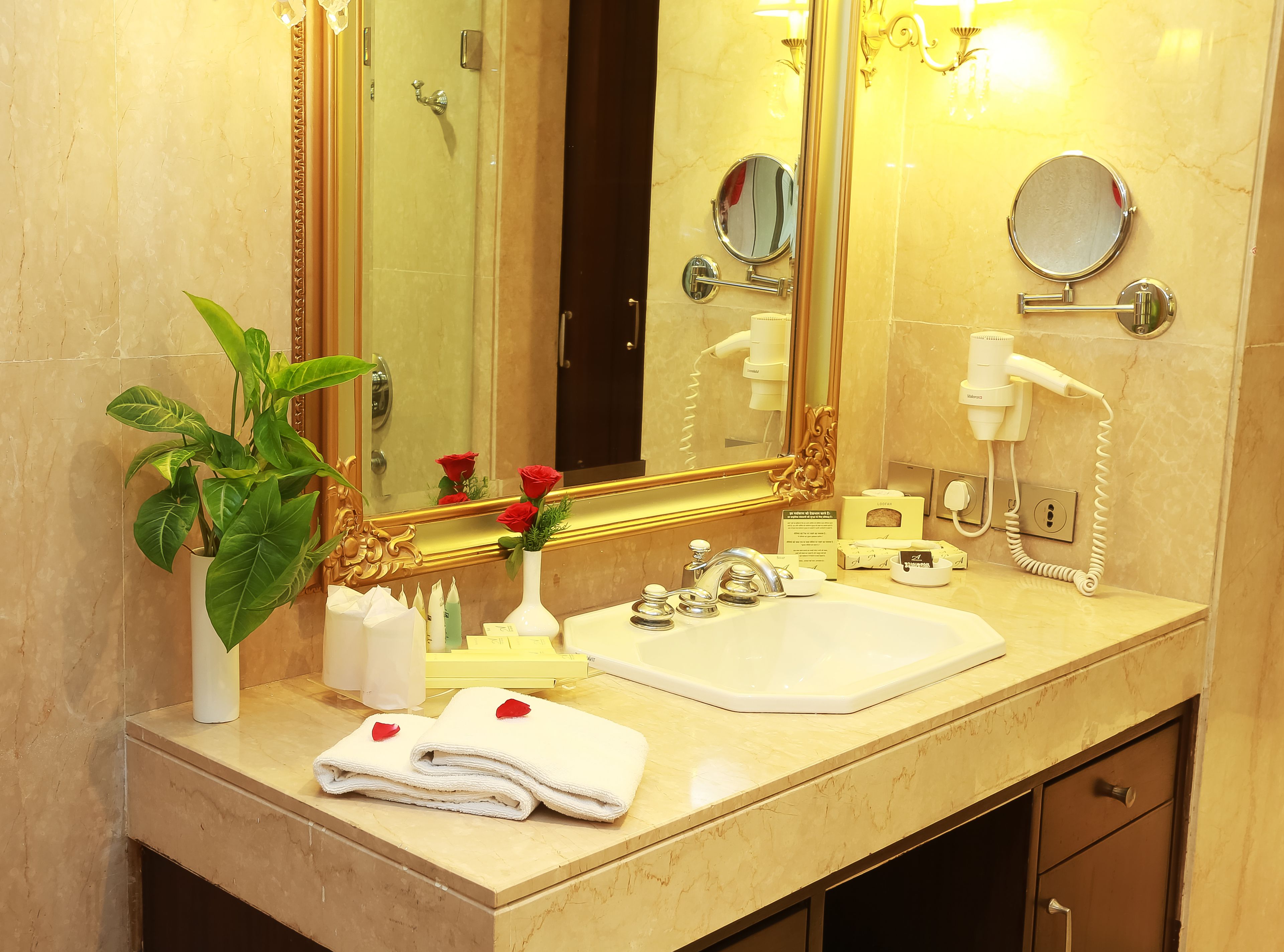 Photo - The Ashok, New Delhi