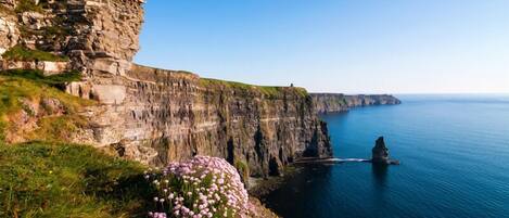 A coastal cliff with a rocky outcrop and a small cluster of pink flowers.