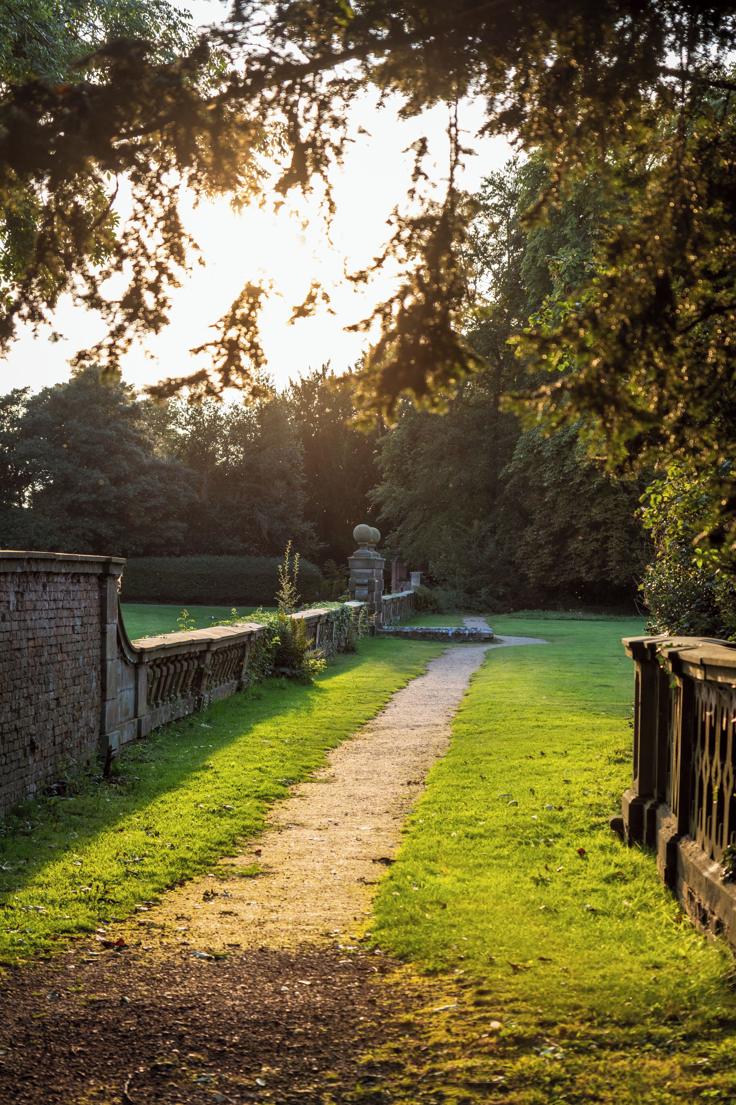 A pathway leading through a garden with a brick wall on one side and a wooden fence on the other.