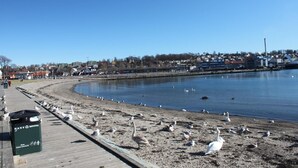 Beach - Mitt Hotell (Moss)