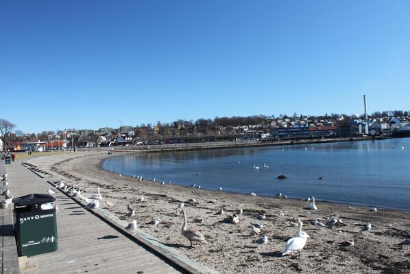 Nær stranden