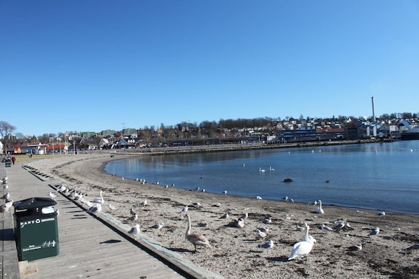 Tæt på stranden