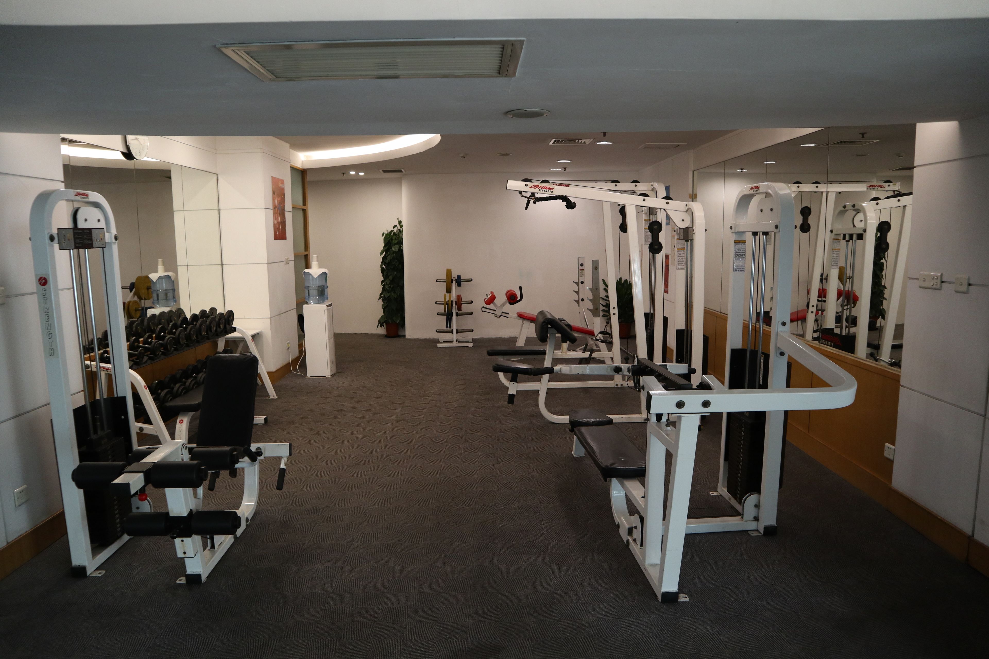 A gym with various exercise machines, a bench, and dumbbells.