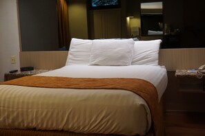 Comfort Single Room, 1 Queen Bed, Non Smoking | 1 bedroom, desk, iron/ironing board, free WiFi
