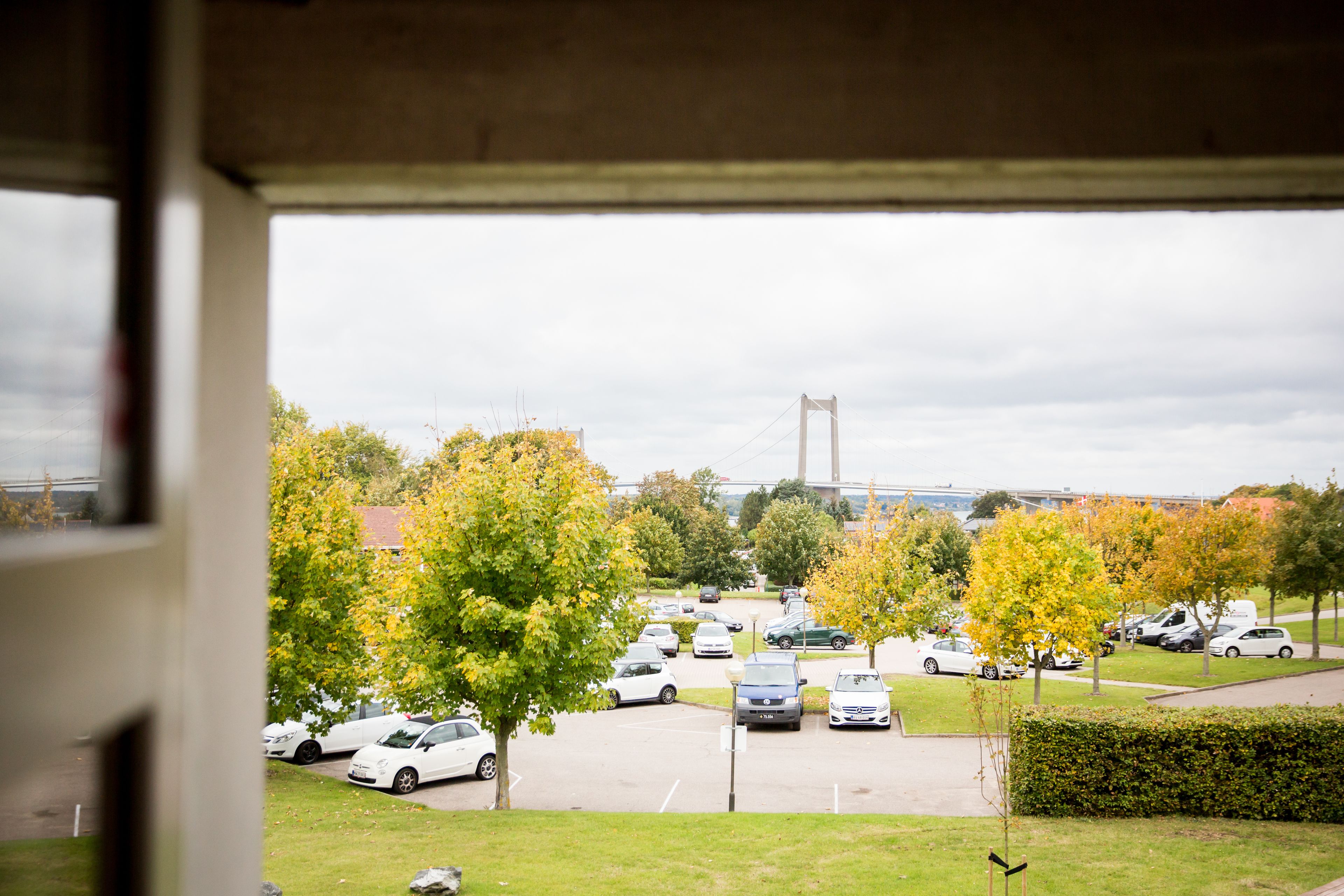 superior room, courtyard view | view from room