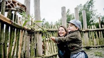 Cerca de madeira com nós de corda, uma girafa e duas pessoas interagindo com ela.