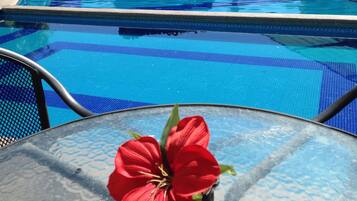 Outdoor pool, pool umbrellas, pool loungers