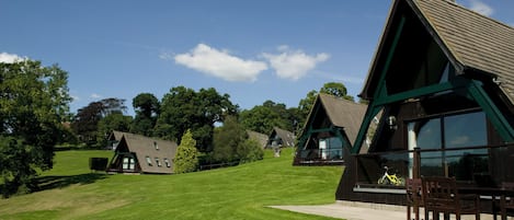 A row of A-frame cabins with large windows, a grassy lawn, and trees in the background.