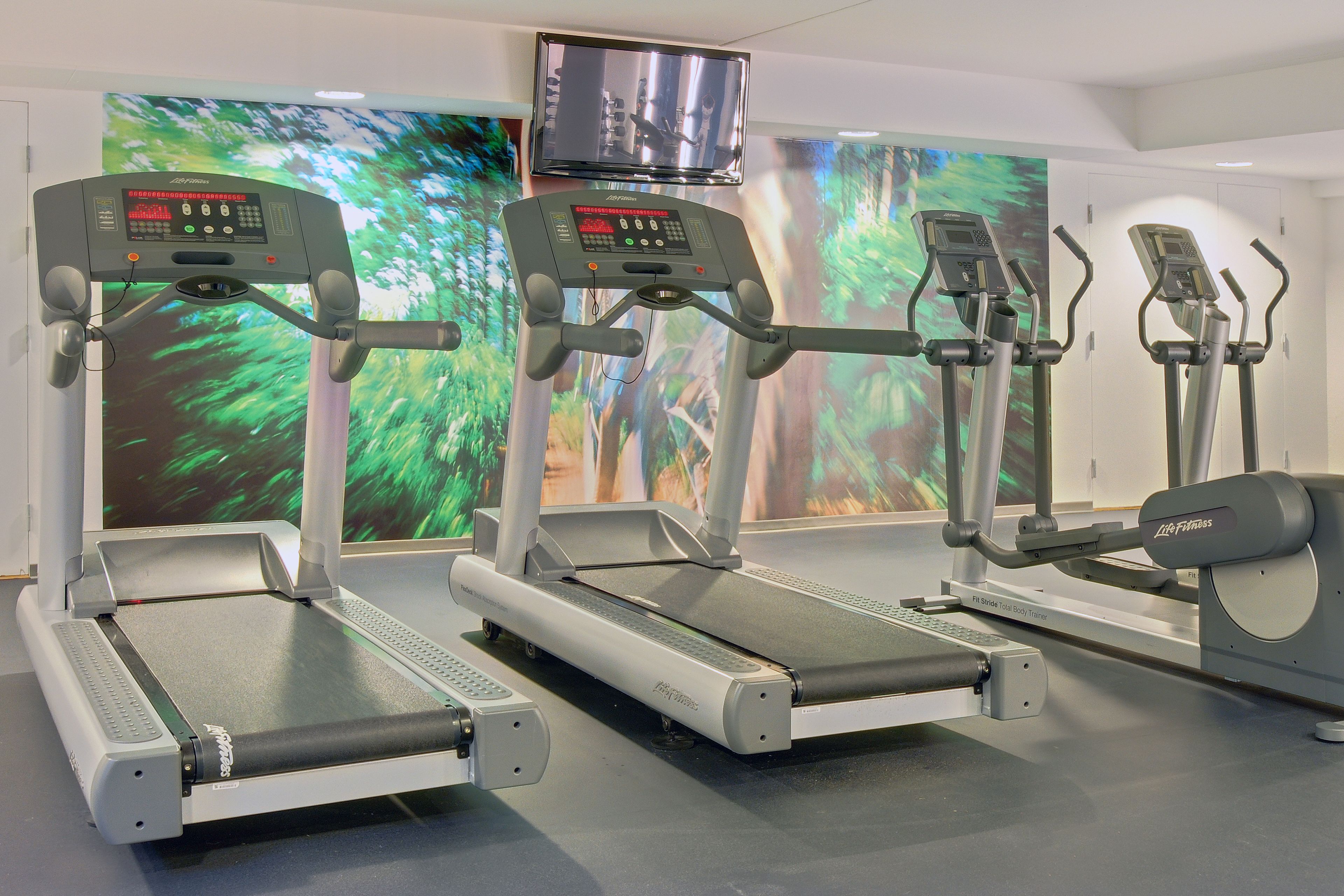 Three stationary bikes in a gym with a large screen displaying a forest scene.