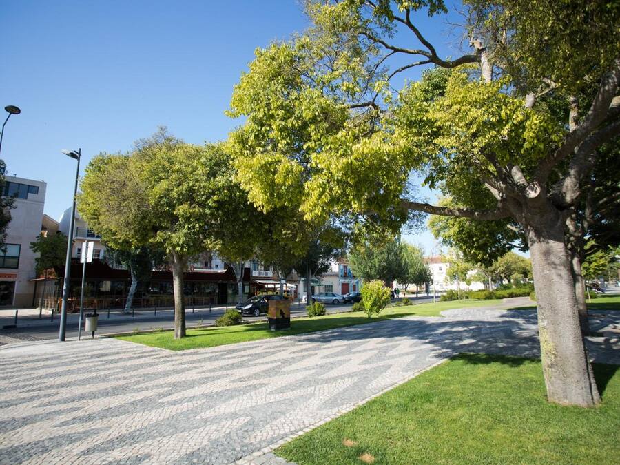 A paved pedestrian walkway with trees and grass on either side, a clear blue sky, and buildings in the background.